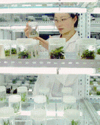  种子法点窜的几个